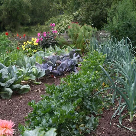 Richard * Lennestadt