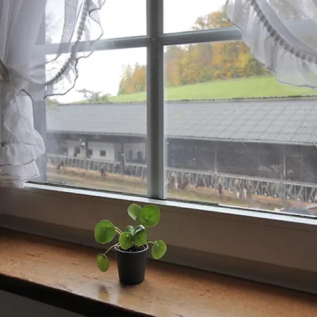 Richard Appartamento