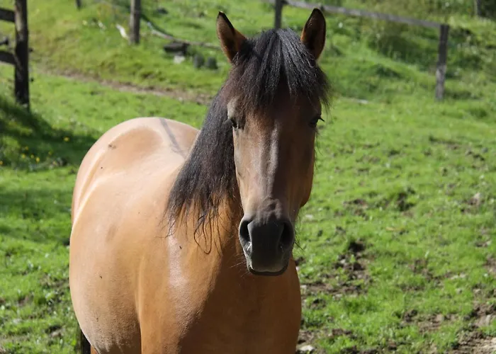 Richard Apartamento Lennestadt