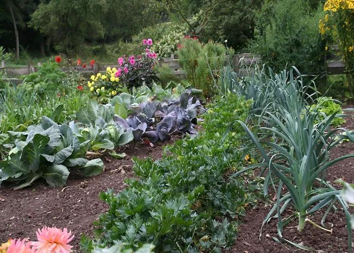 Richard * Lennestadt