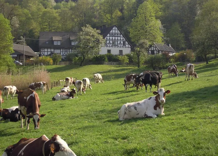 Apartamento Richard *