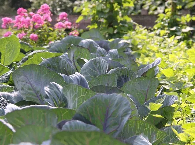 Apartamento Richard *