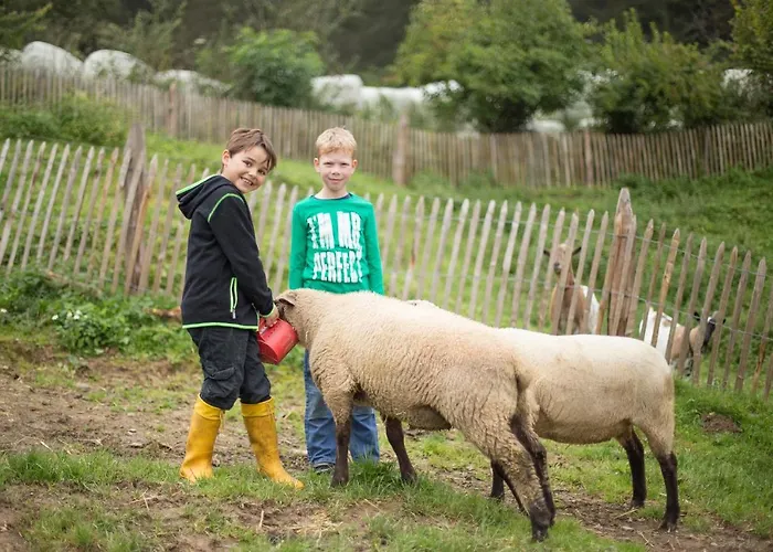 Richard Apartamento Lennestadt